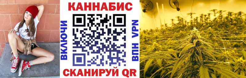 Бошки Шишки семена  где найти наркотики  ОМГ ОМГ зеркало  Нолинск 